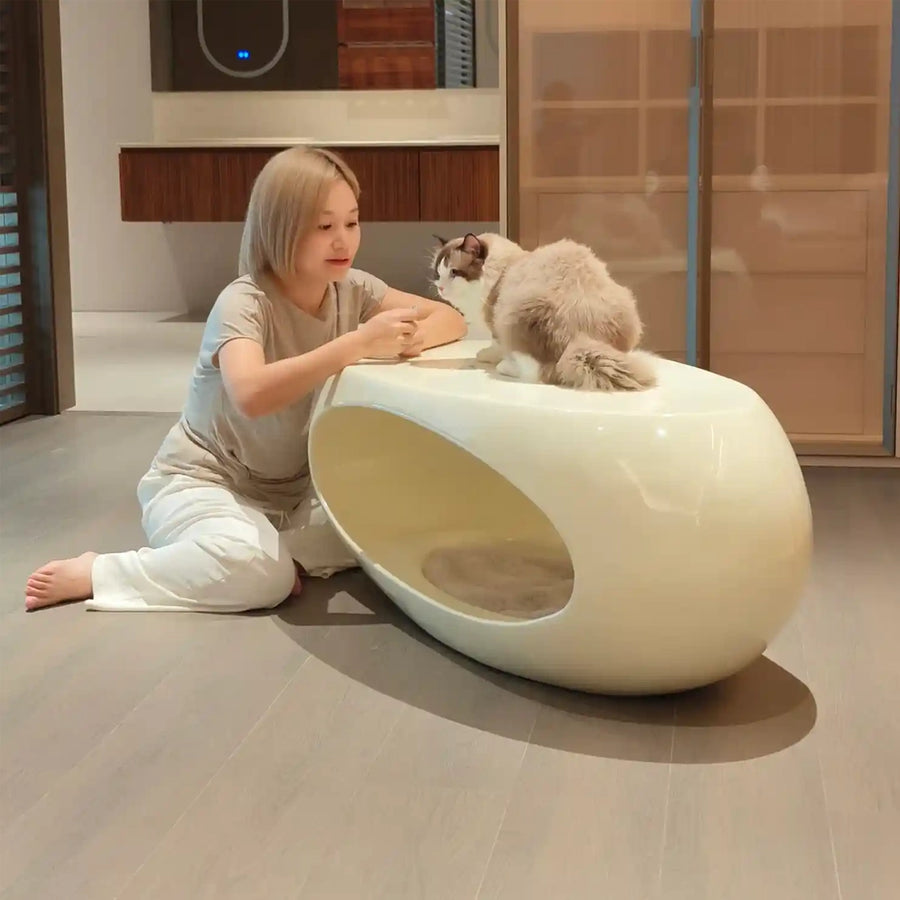 Pet-Friendly Dinosaur Egg Coffee Table