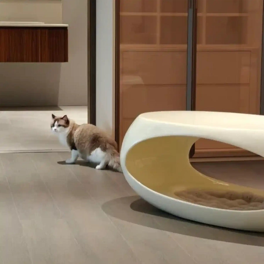 Pet-Friendly Dinosaur Egg Coffee Table