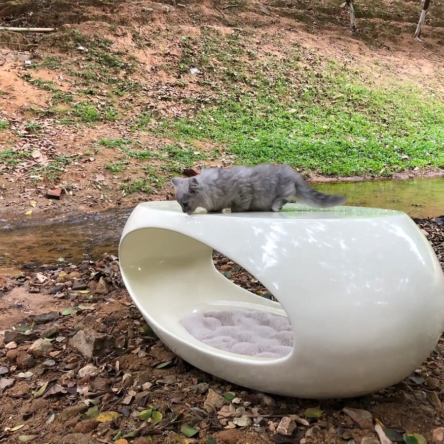 Pet-Friendly Dinosaur Egg Coffee Table