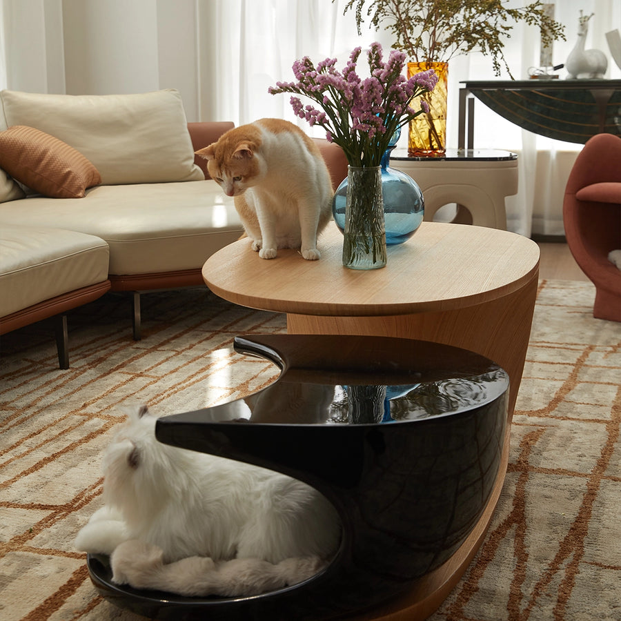 Cloud coffee table