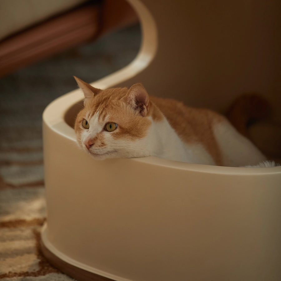 Bird Nest Side Table — A side table and cat nook in one
