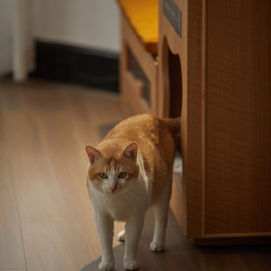 Cat-Fun Mansion Shoe-Changing Stool