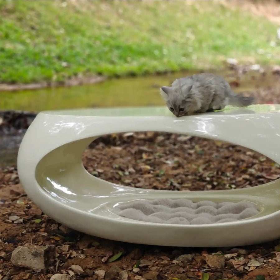 Pet-Friendly Dinosaur Egg Coffee Table