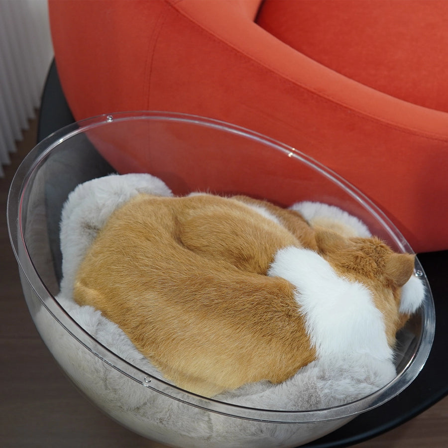 Cosmos Lounge Chair